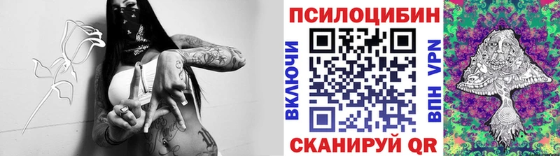 Псилоцибиновые грибы прущие грибы  блэк спрут ONION  Короча  дарнет шоп 